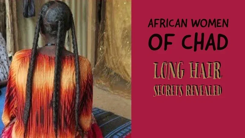 300ml Super Fast Hair Growth Shampoo Combining Africa Chad Chebe Powder Local Ingredients with Polygonum multiflorum - Image 5