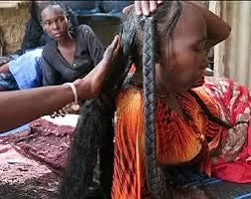300ml Super Fast Hair Growth Shampoo Combining Africa Chad Chebe Powder Local Ingredients with Polygonum multiflorum - Image 3